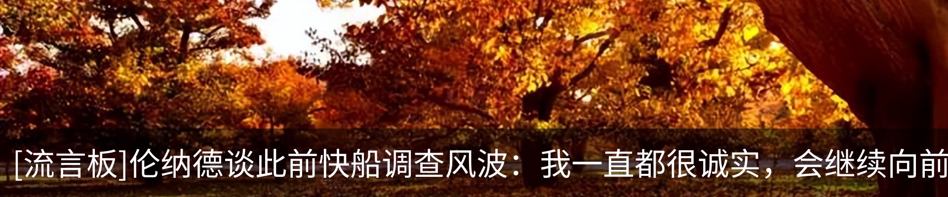 新闻动态